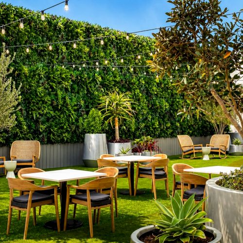 A sunny outdoor patio with wooden tables and chairs, string lights, greenery, potted plants, and a lawn under a clear blue sky.